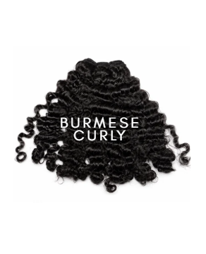 Burmese Curly Bundle