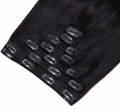 Clip-In's (Natural Black)